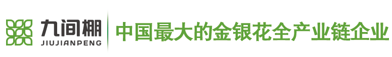 金銀花苗木，金銀花小苗，北花一號金銀花種苗--金銀花種苗廠家平邑縣九間棚農(nóng)業(yè)科技園有限公司